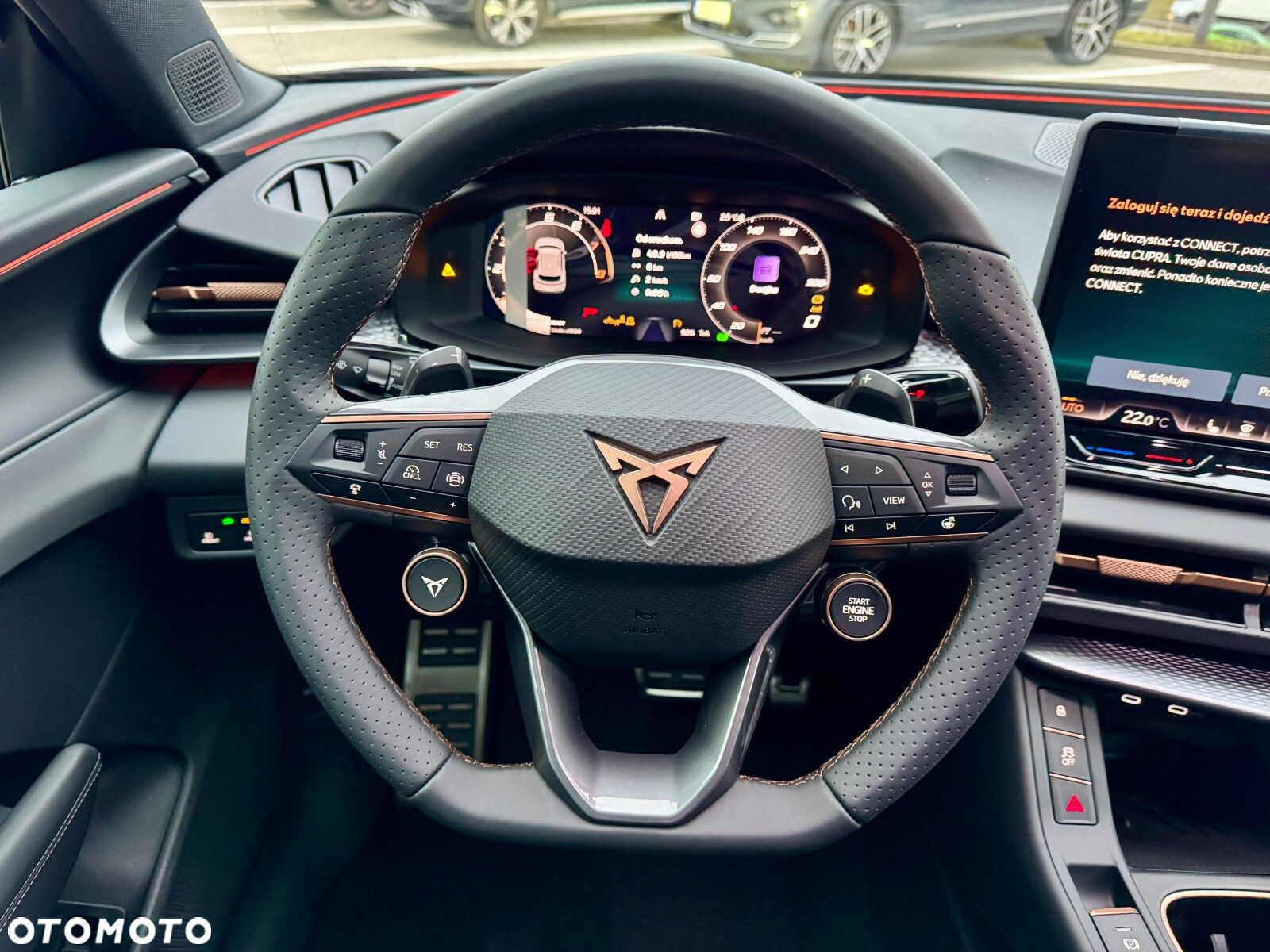 Cupra Terramar 2.0 TSI 4Drive DSG - 15