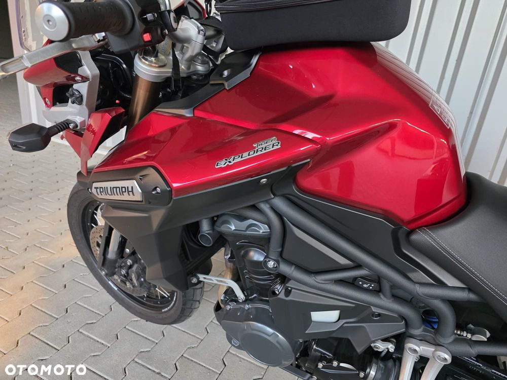 Triumph Tiger - 7