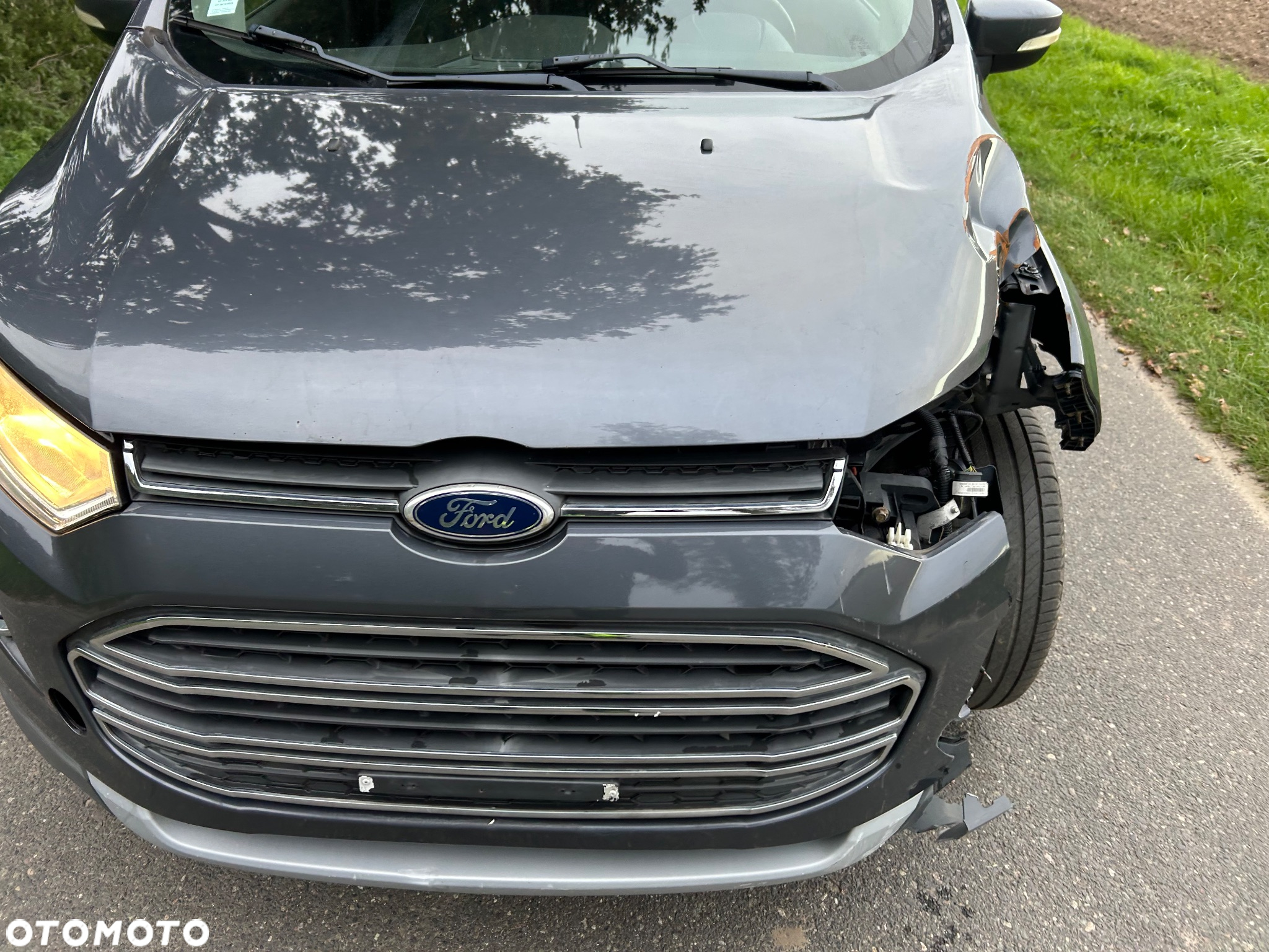 Ford EcoSport - 17