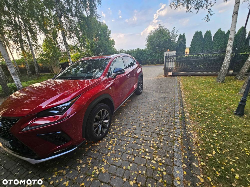 Lexus NX 300 F Sport AWD - 12