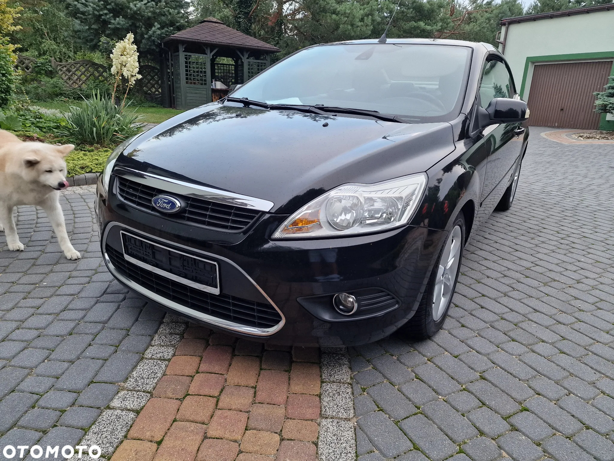 Ford Focus CC 2.0 TDCi Trend - 6