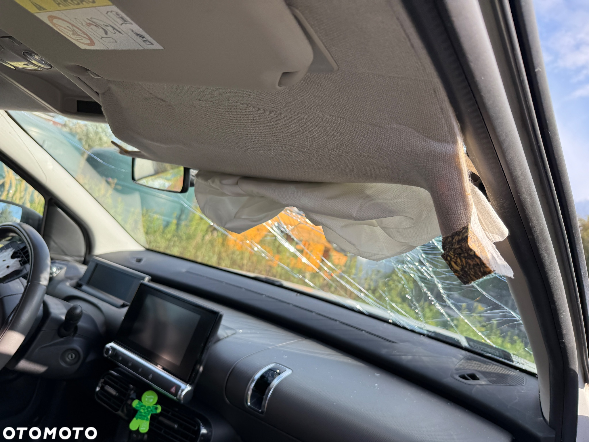 Citroën C4 Cactus 1.2 PureTech Live - 26