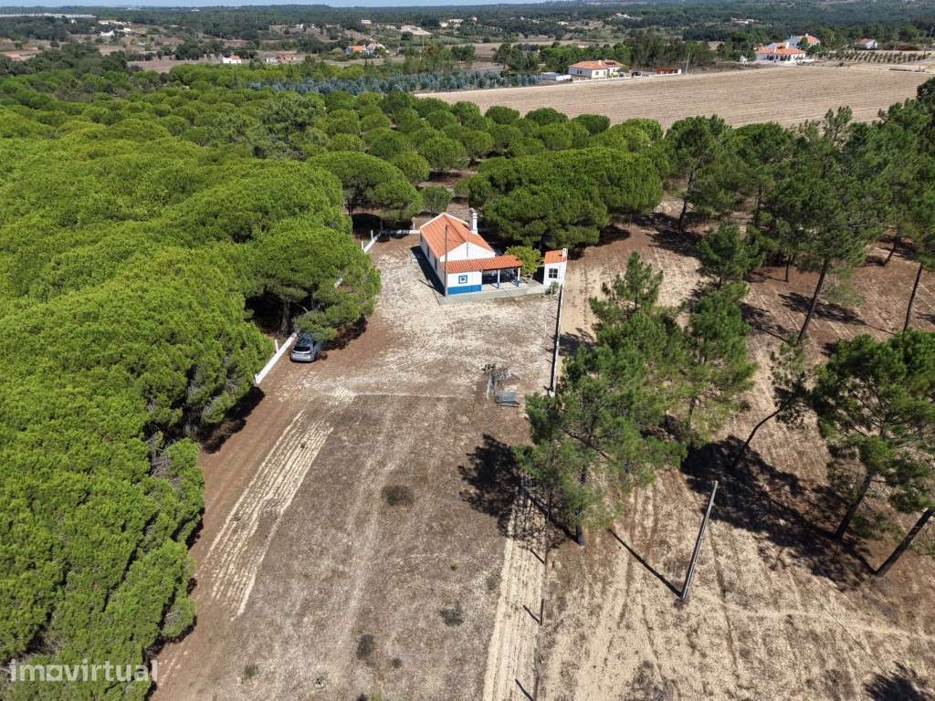 QUINTA (5.140 m² ) - Grande imagem: 3/40