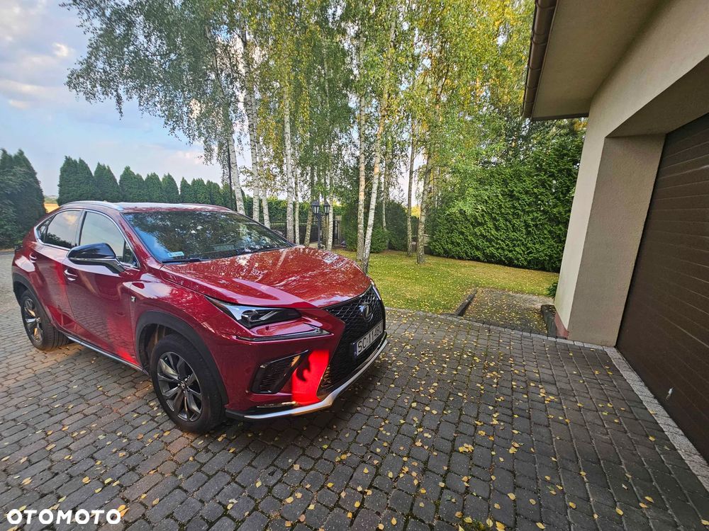 Lexus NX 300 F Sport AWD - 9