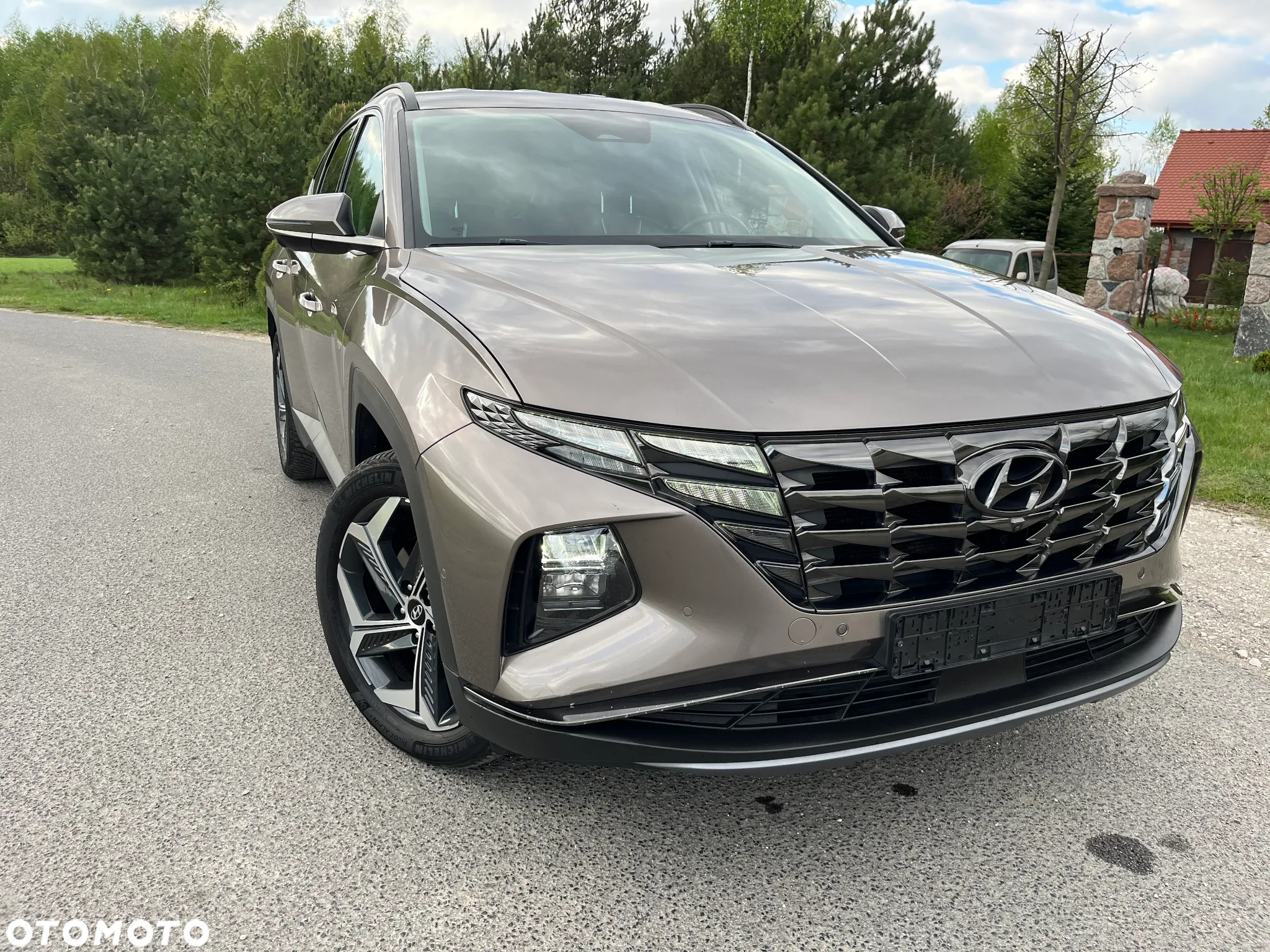 Hyundai Tucson 1.6 T-GDi HEV Executive 2WD - 17