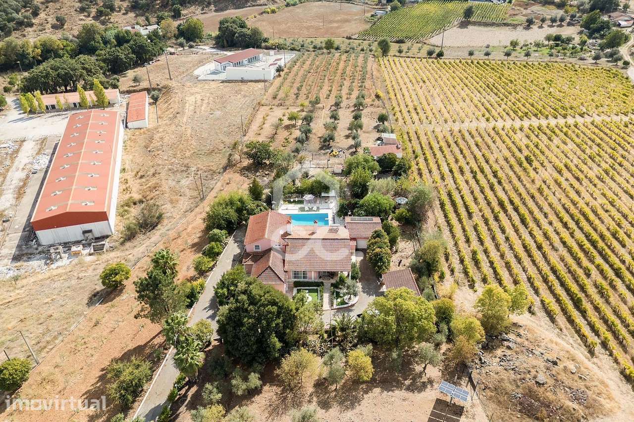Quinta de charme com piscina e vista deslumbrante – Borba, Alentejo - Grande imagem: 3/60