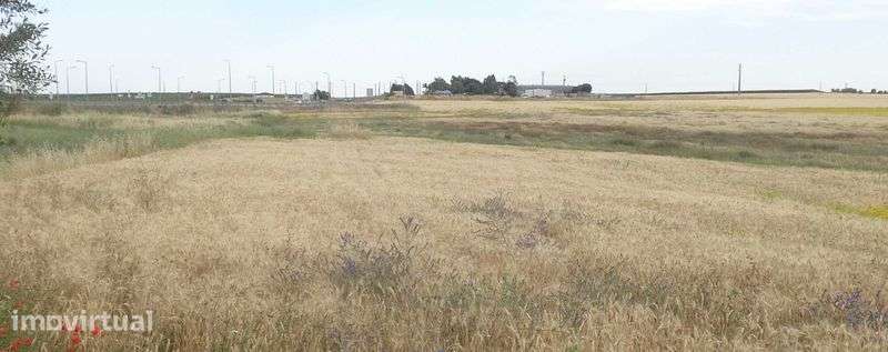 Terreno Junto à estrada, a 600 metros de Beja - Grande imagem: 3/11