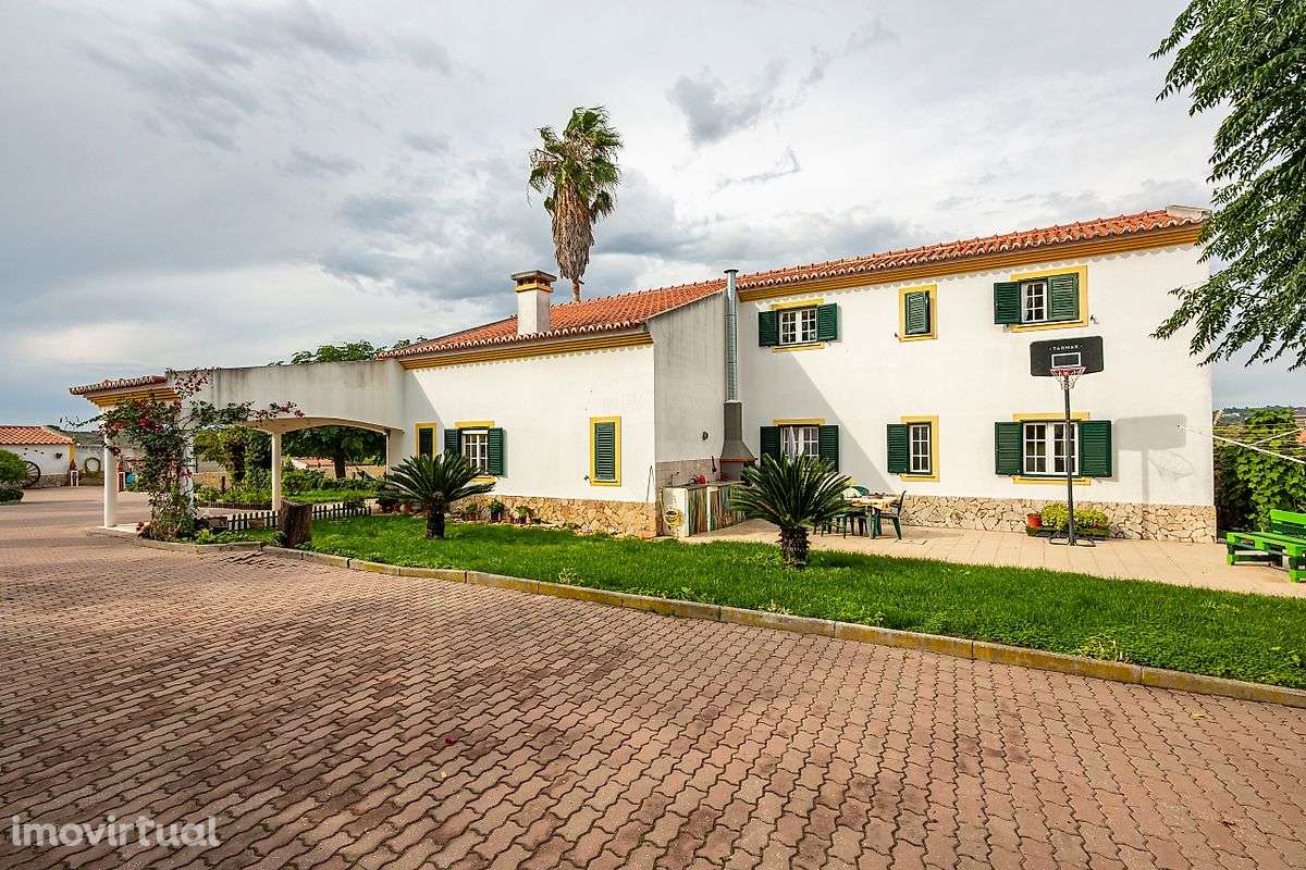 Quinta T5 para venda - Grande imagem: 5/39