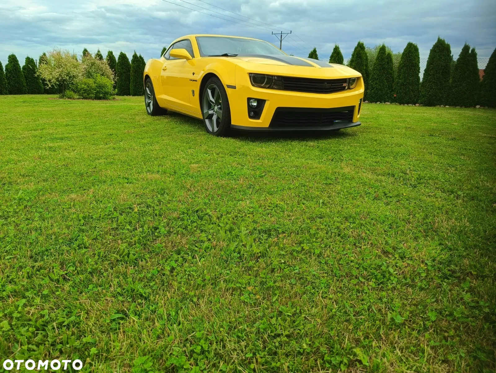 Chevrolet Camaro 3.6 V6 Coupe 2LT - 6