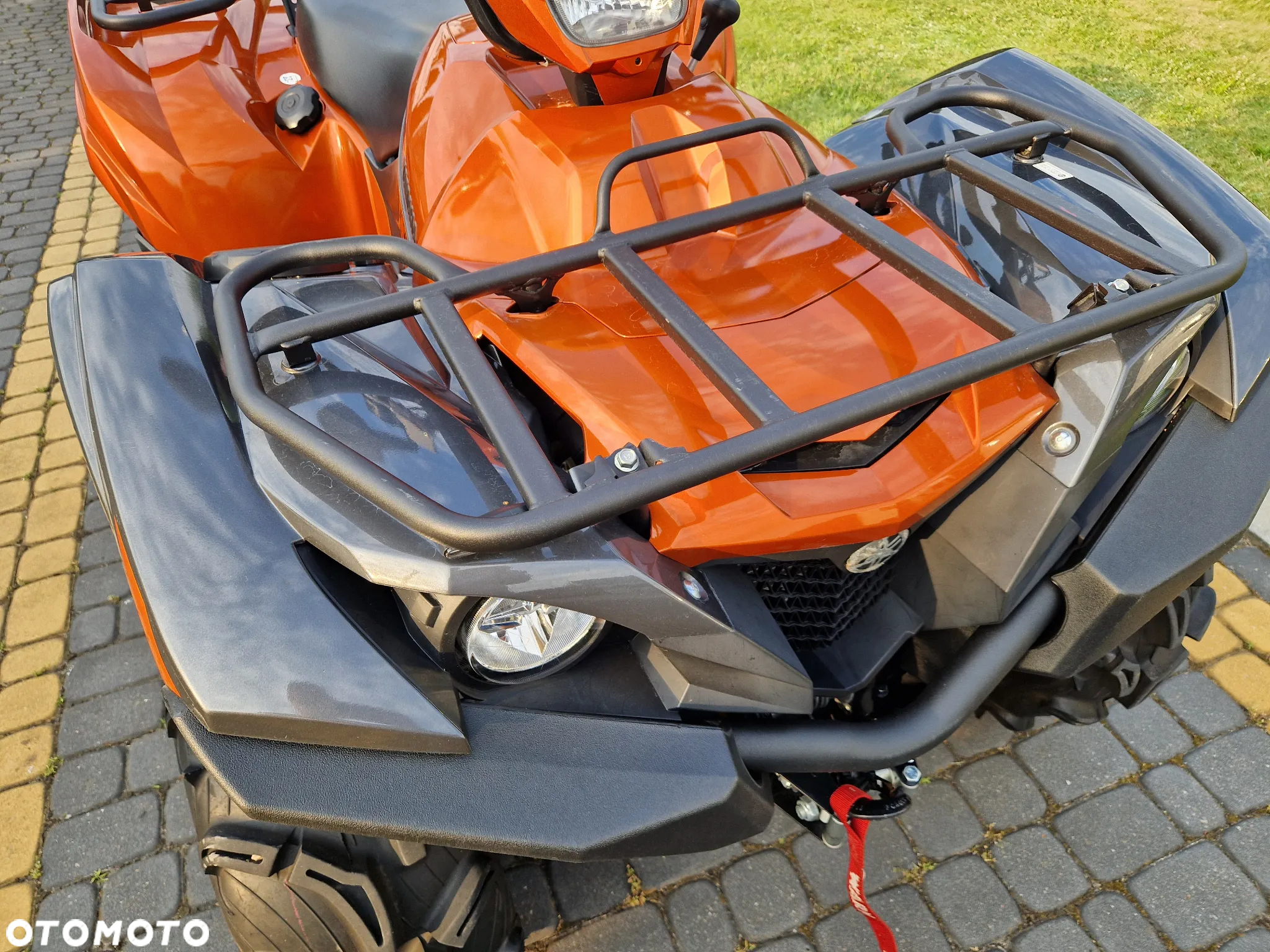 Yamaha Grizzly - 20