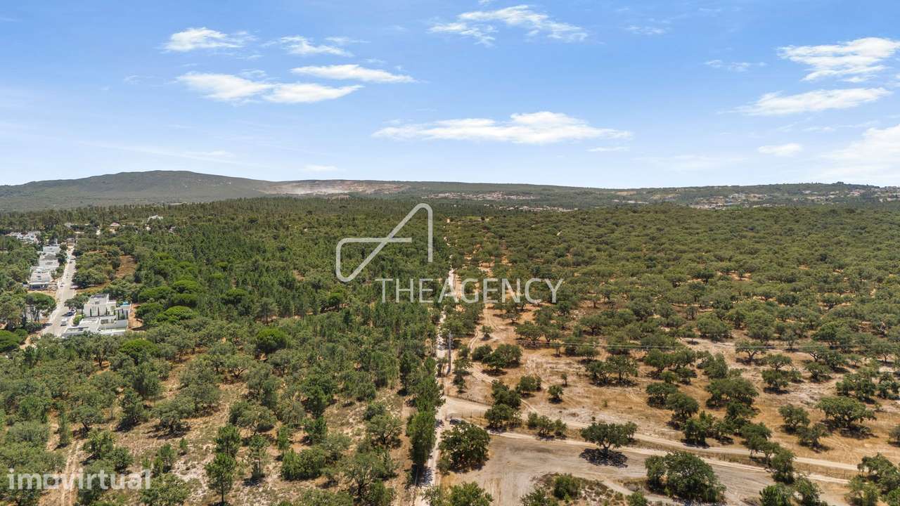 11,3 Hectares de Montado de Sobro | PIP Submetido | Moradia de 455 m² - Grande imagem: 5/5