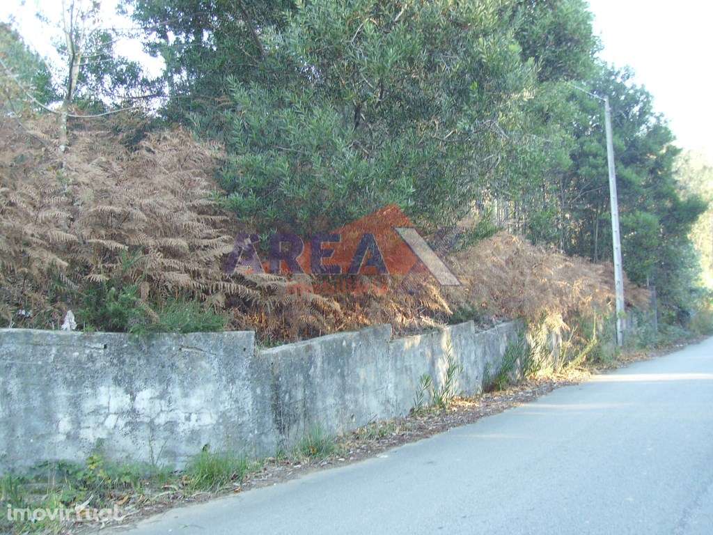 Terreno para construção de pavilhão/armazém industrial. 75m de frente. - Grande imagem: 3/4