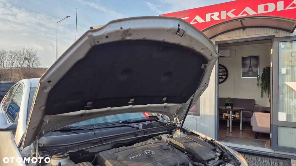 Opel Insignia 2.0 CDTI ecoFLEX - 38