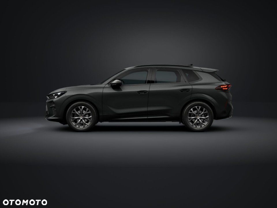 Cupra Terramar - 20