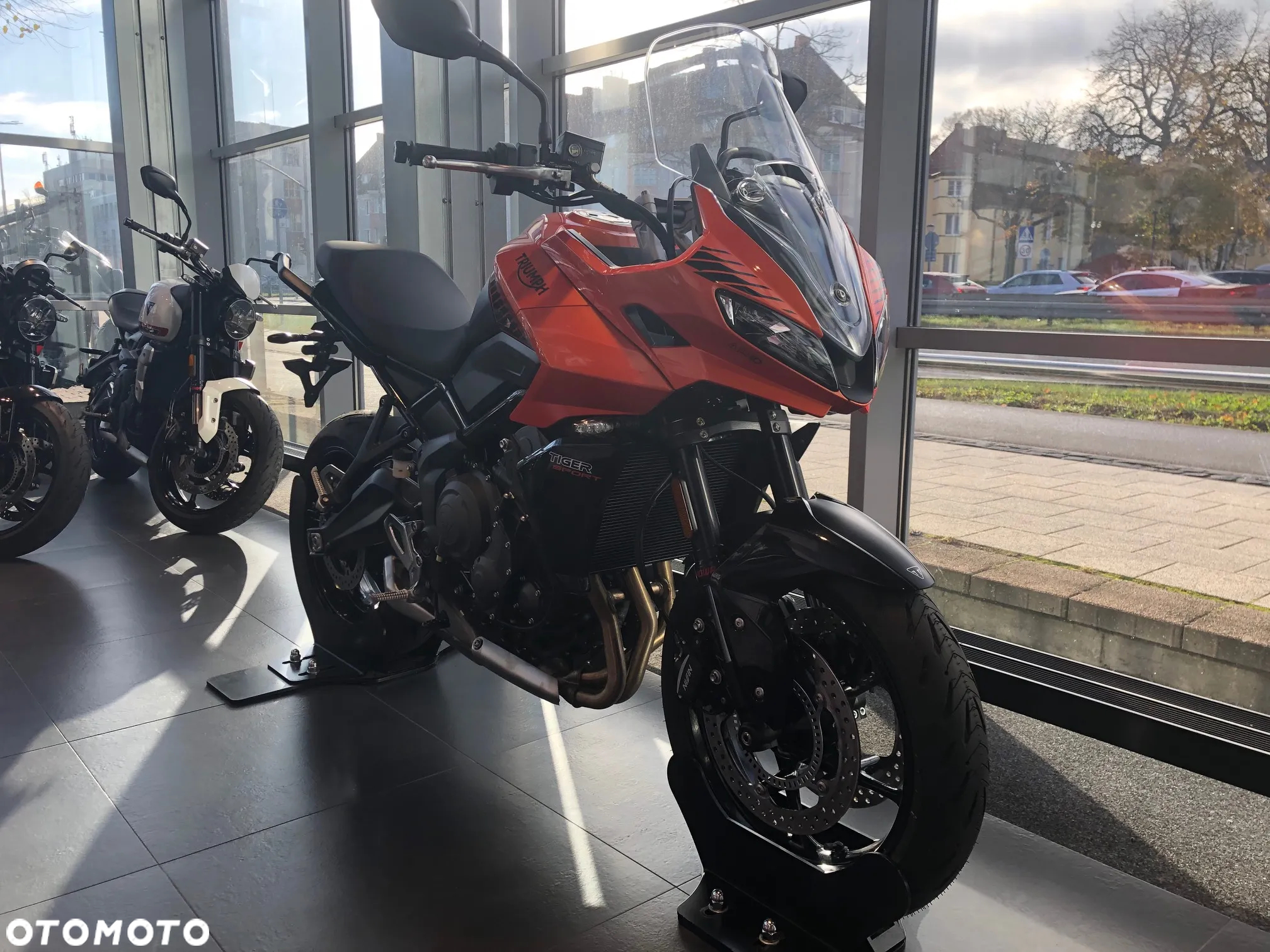 Triumph Tiger - 2