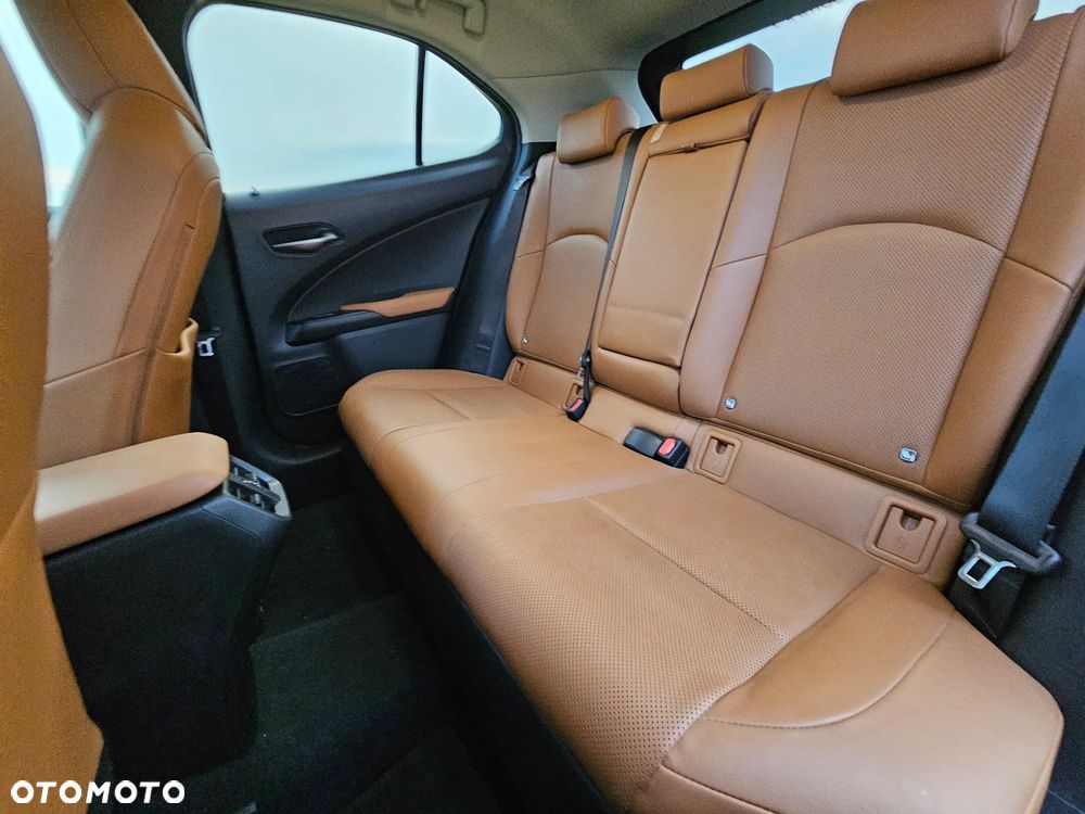 Lexus UX 250h GPF Omotenashi AWD - 10