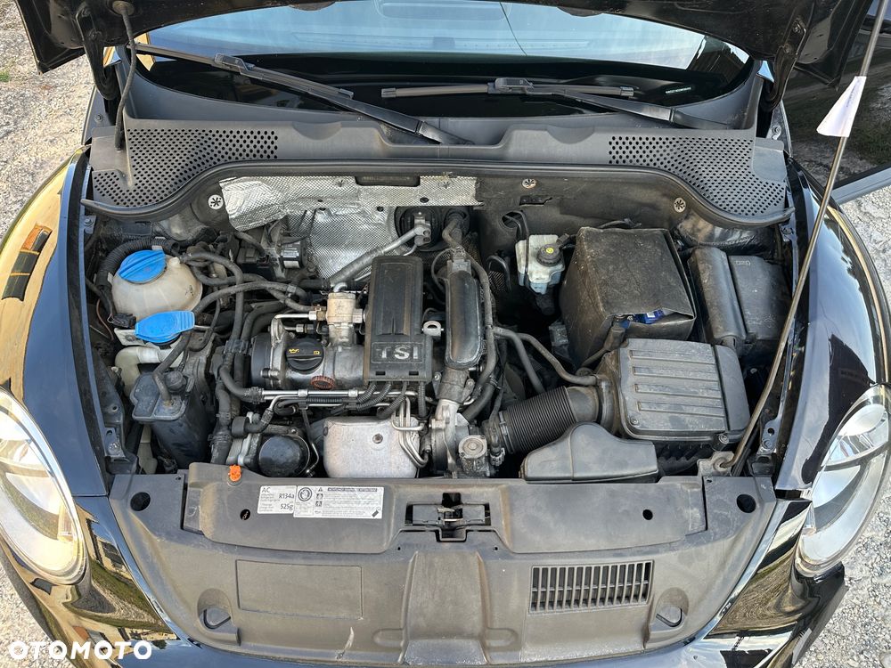 Volkswagen Beetle - 22