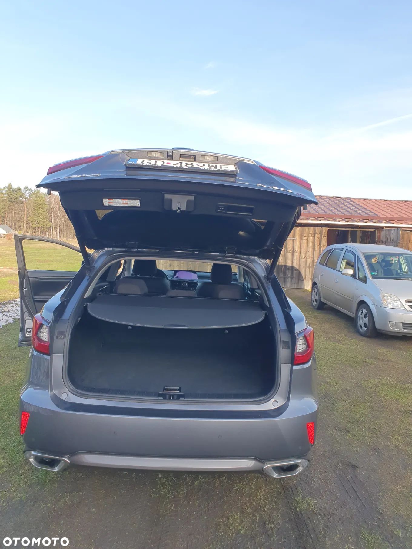 Lexus RX 200t / 300 Elegance - 1