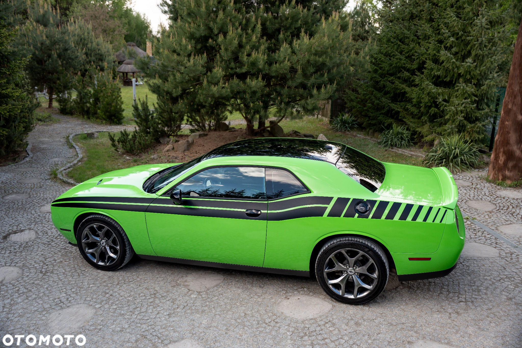 Dodge Challenger Automatik SXT Plus - 8