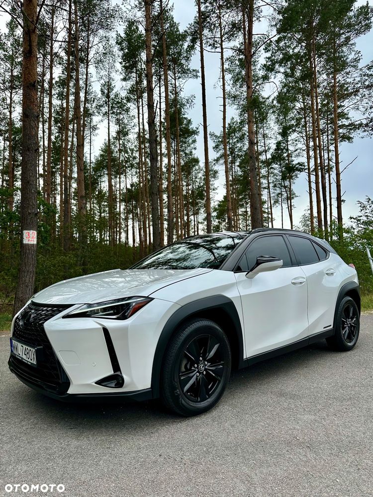 Lexus UX 250h Prestige 2WD - 3