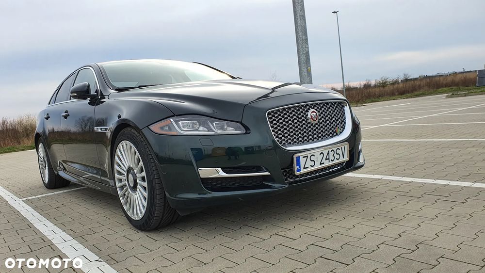 Jaguar XJ 3.0 V6 Kompressor Luxury - 2