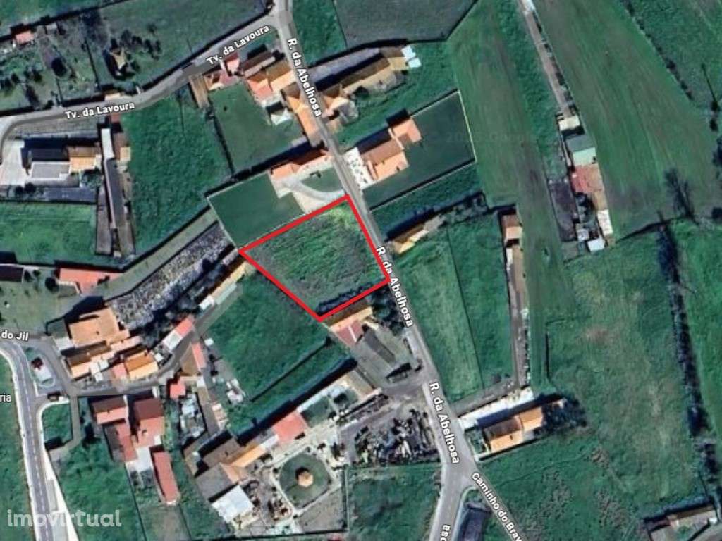 TERRENO P/ CONSTRUÇÃO - MURTOSA - Grande imagem: 3/4