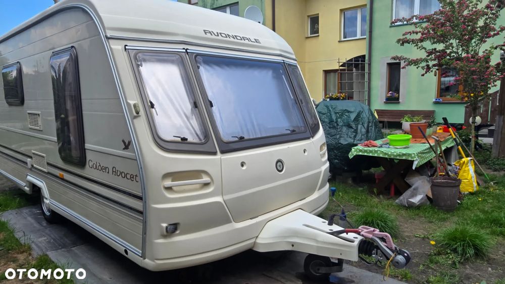 Avondale Avocet Golden - 17