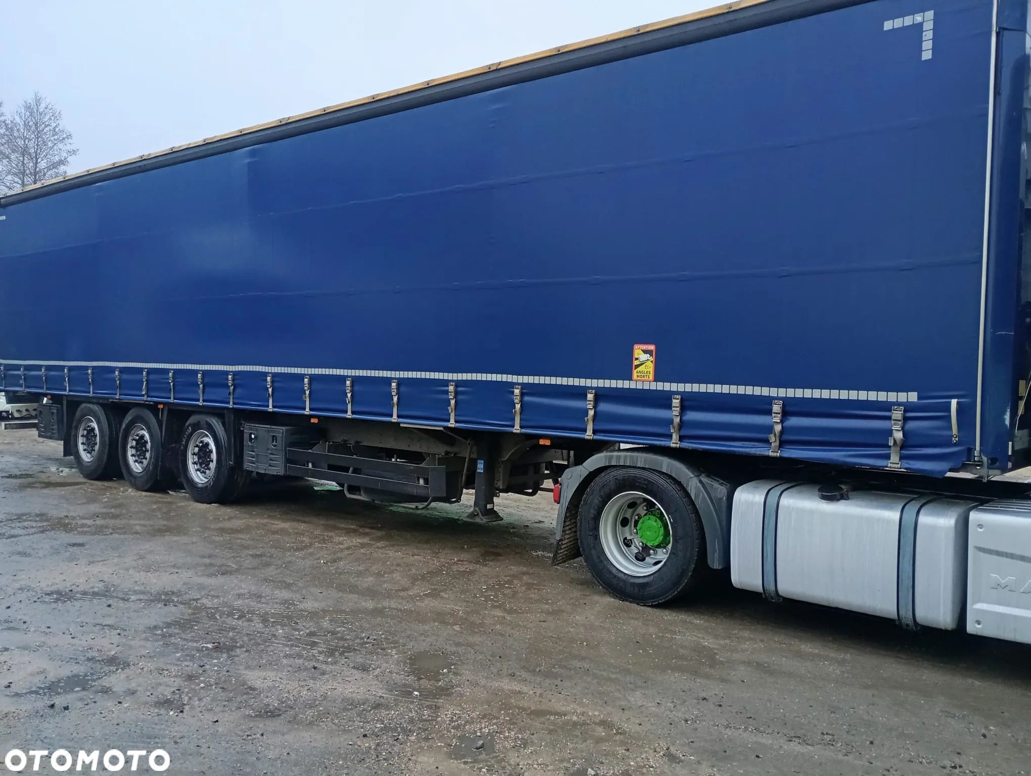Schmitz Cargobull - 1