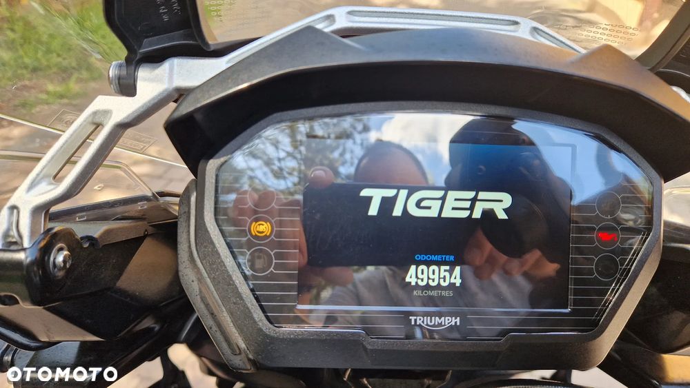 Triumph Tiger - 3