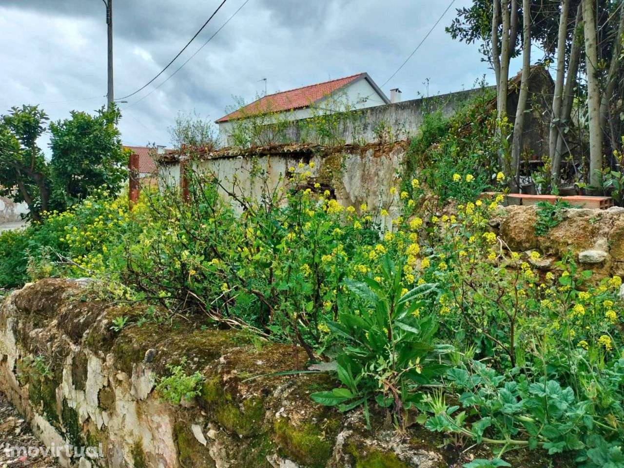 Moradia para recuperar no centro da Romeira - Grande imagem: 2/10