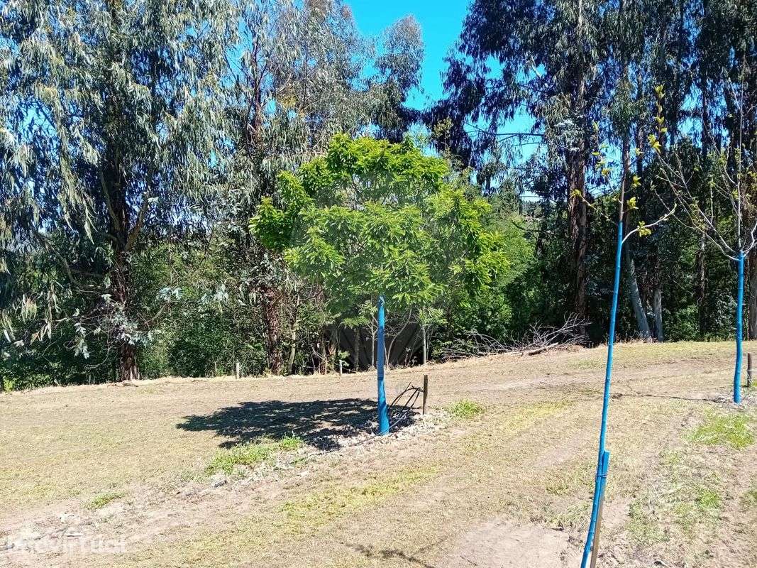 Terreno  para venda - Grande imagem: 4/21