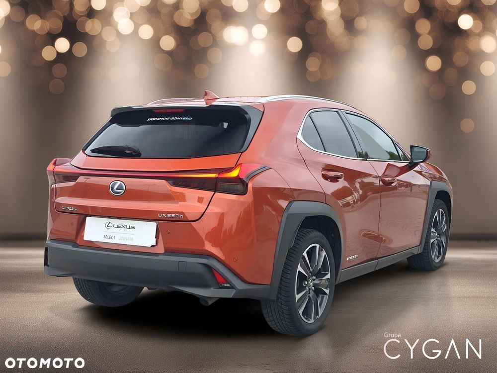 Lexus UX 250h GPF Business Edition 2WD - 7