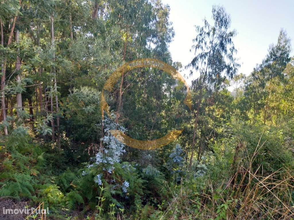 Terreno urbano Oliveira de Azeméis - Grande imagem: 4/5