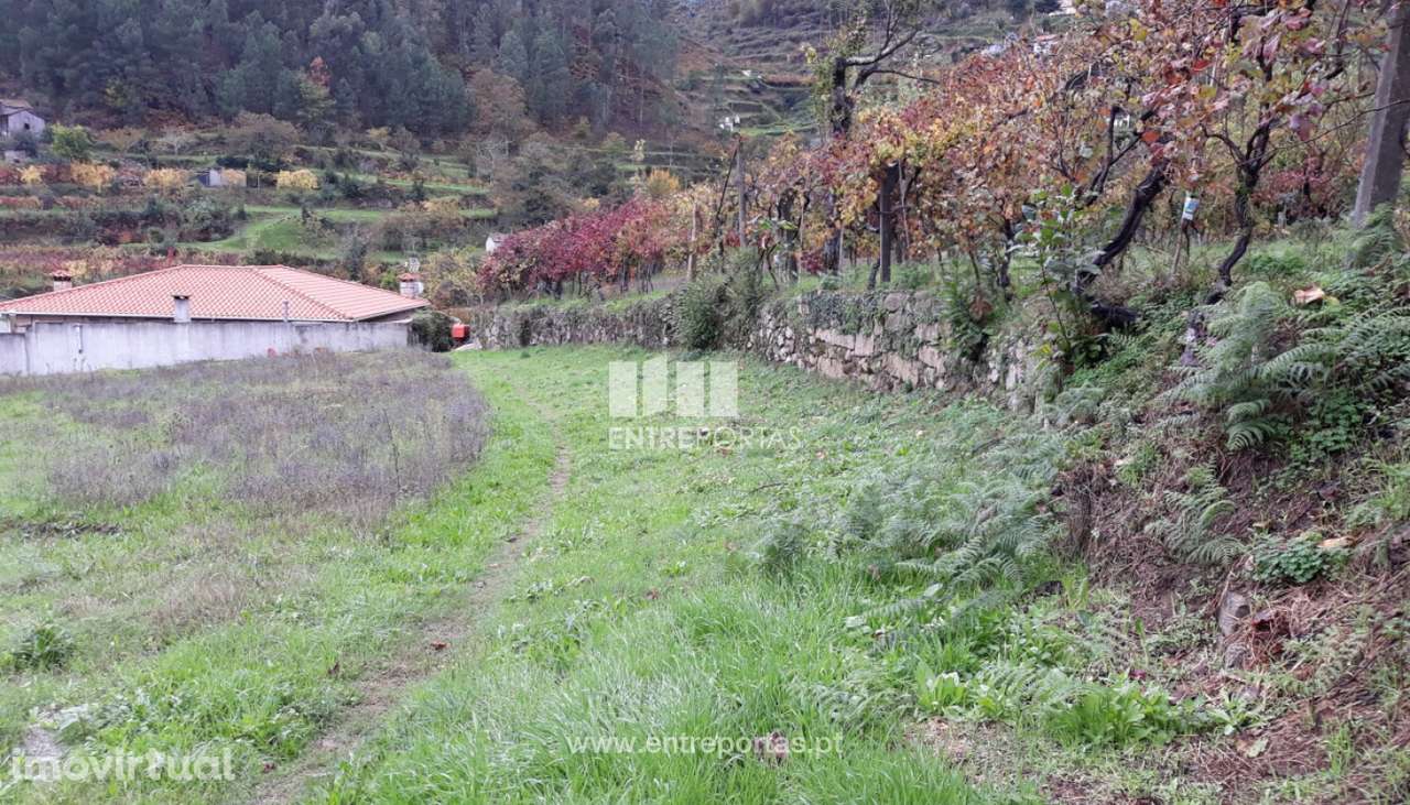 Venda Terreno, Vistas s/ o Rio Douro, Paredes de Viadores, Marco de Ca - Grande imagem: 3/7