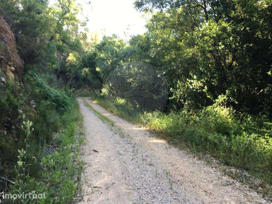 Terreno  para venda - Grande imagem: 2/11