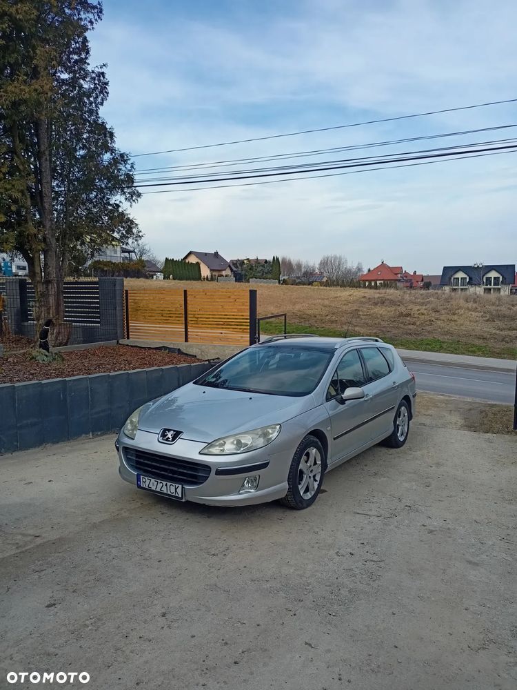 Peugeot 407 - 20