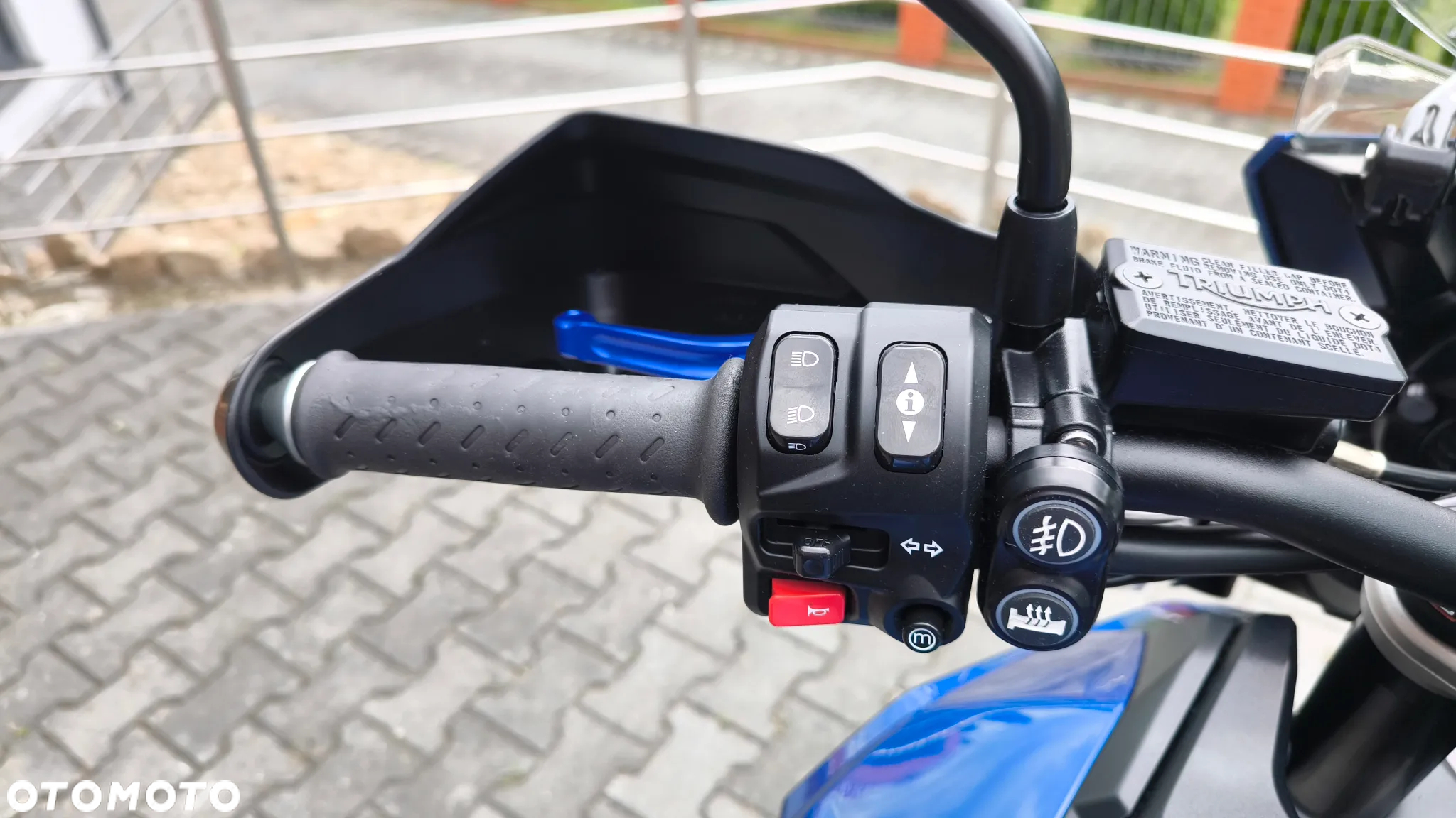 Triumph Tiger - 12