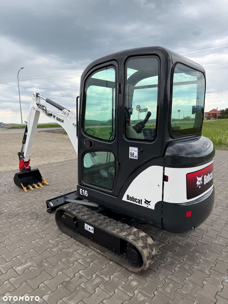 Bobcat - 3