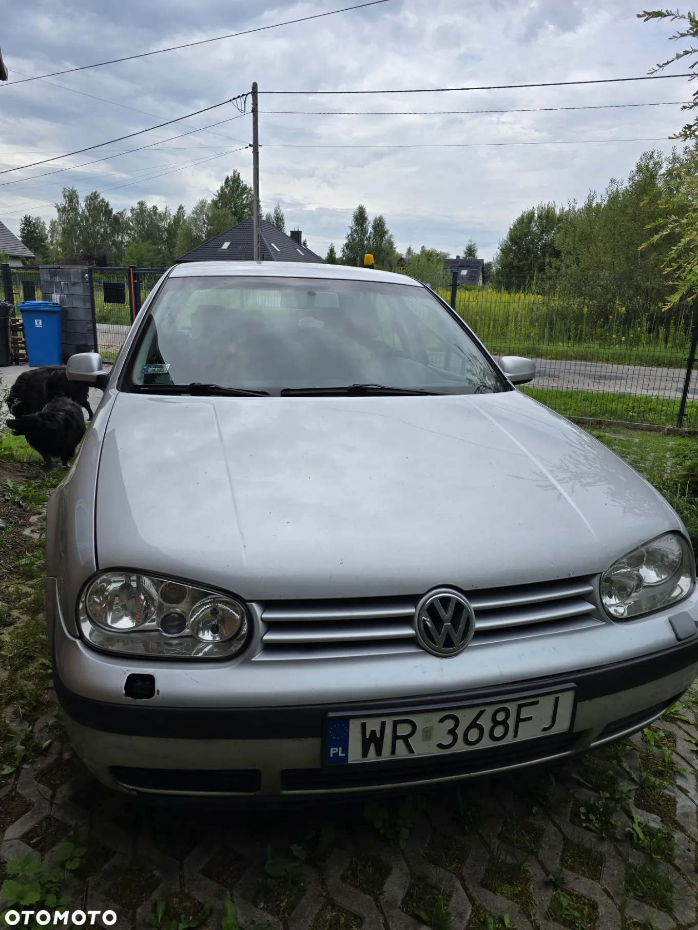 Volkswagen Golf IV 1.4 16V Trendline - 6
