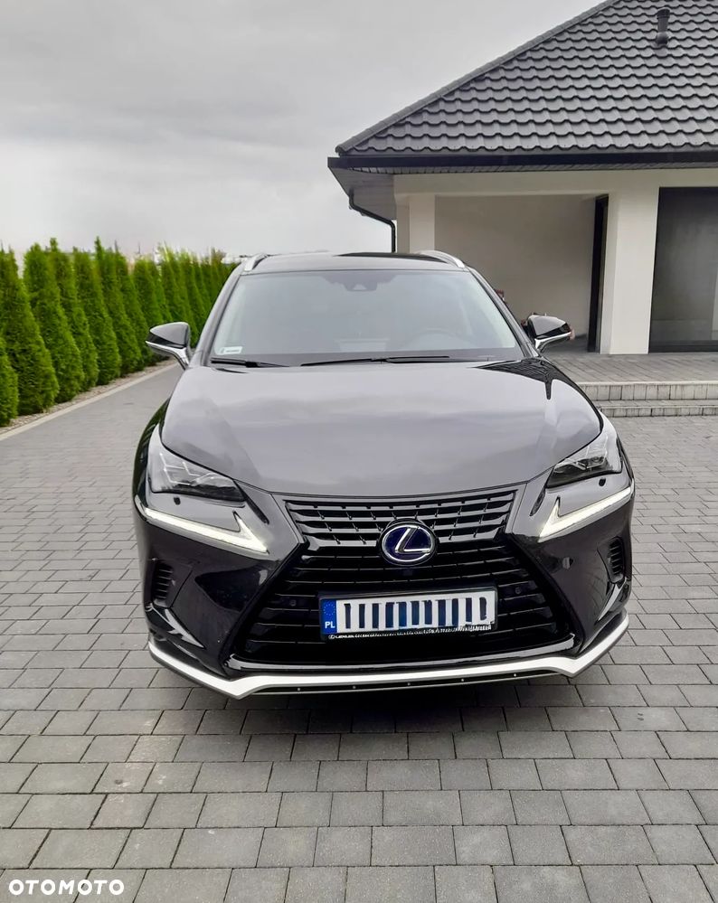Lexus NX 300 Comfort AWD - 1