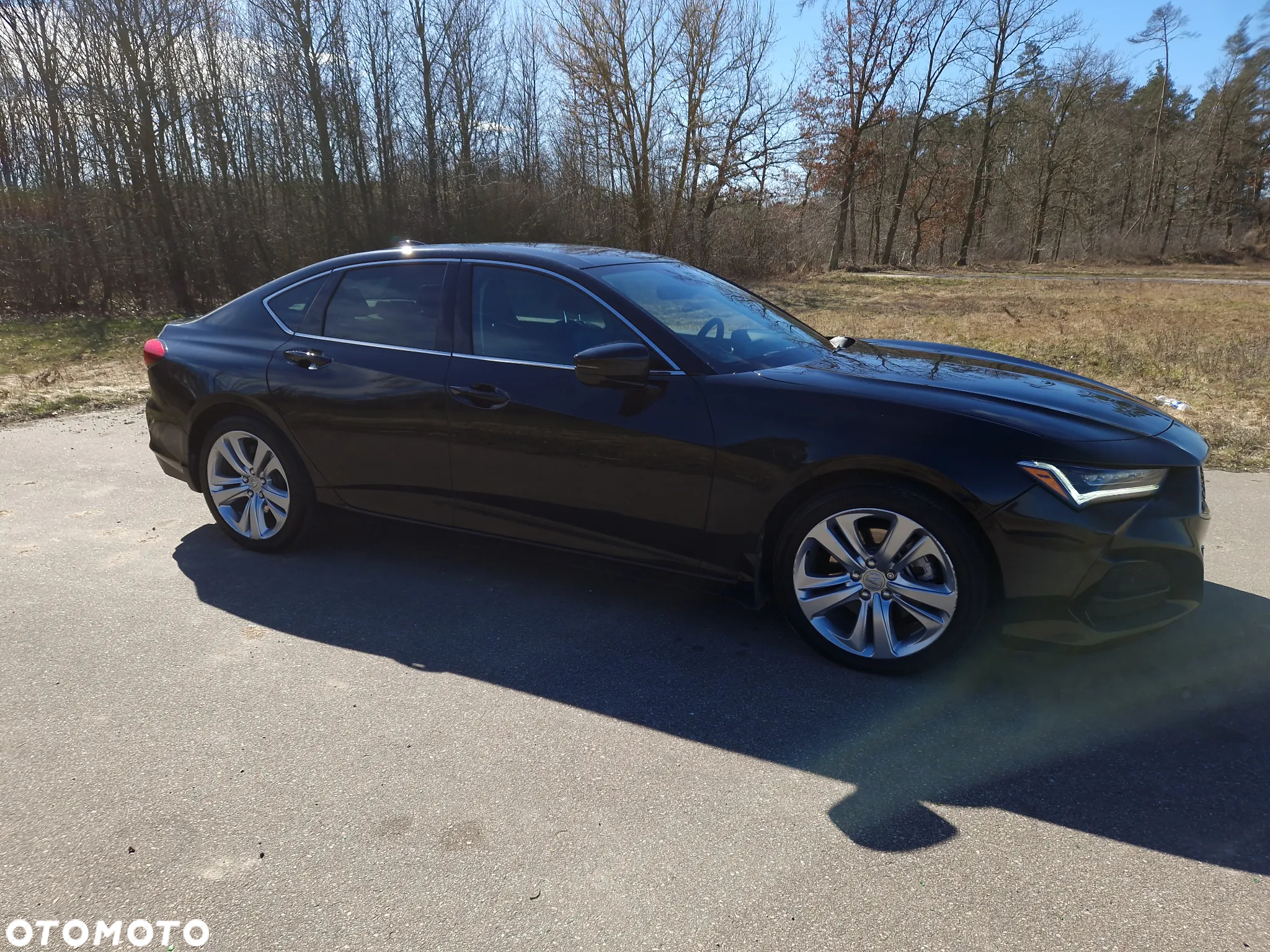 Honda Inny - 11