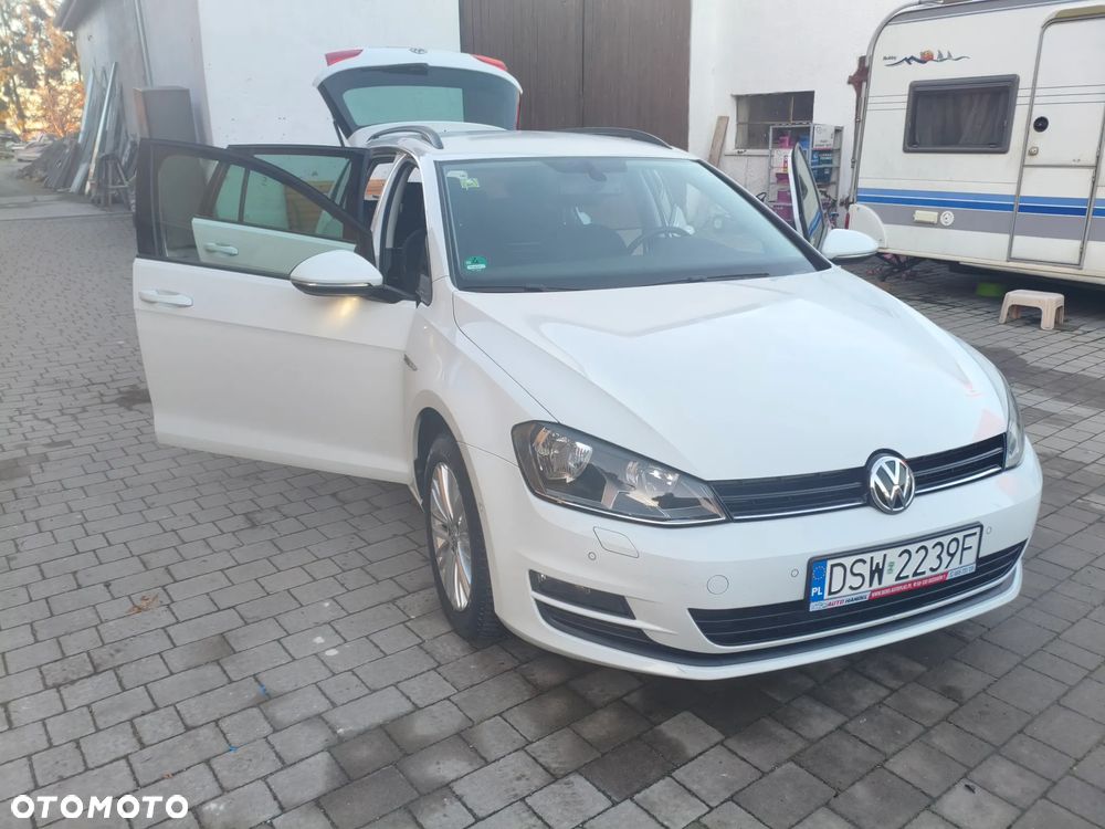 Volkswagen Golf 1.6 TDI BlueMotion Technology Cup - 10