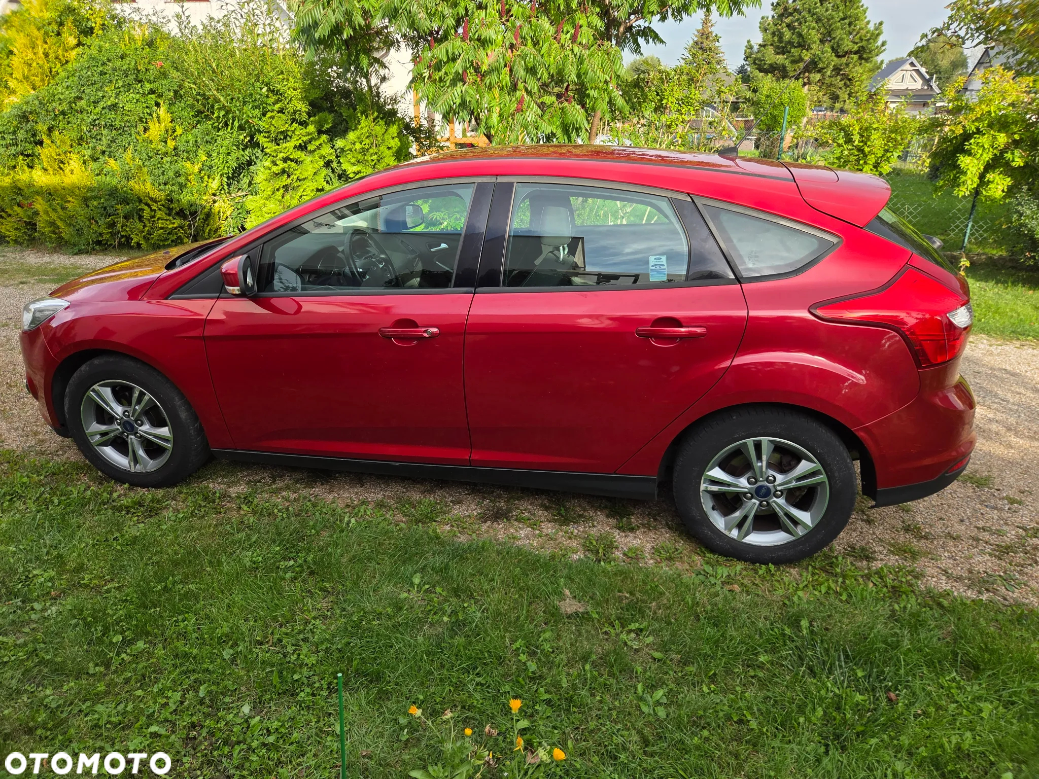 Ford Focus - 12