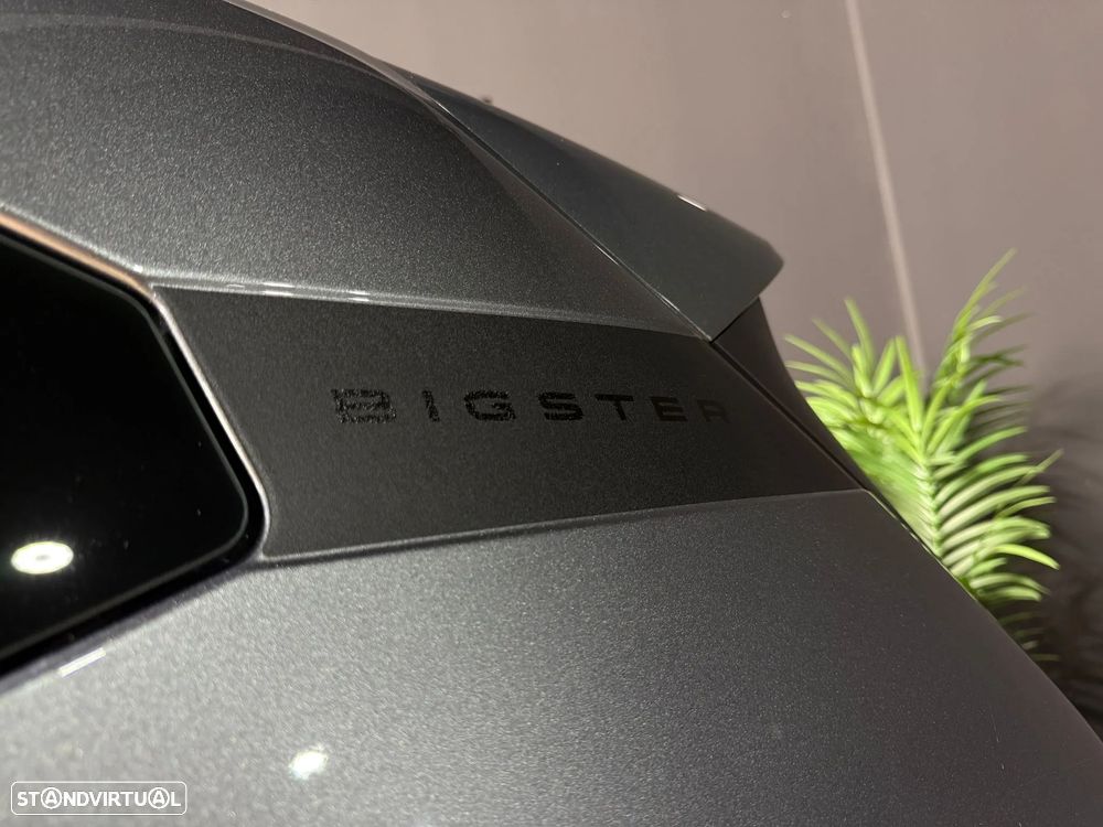 Dacia Bigster - 10