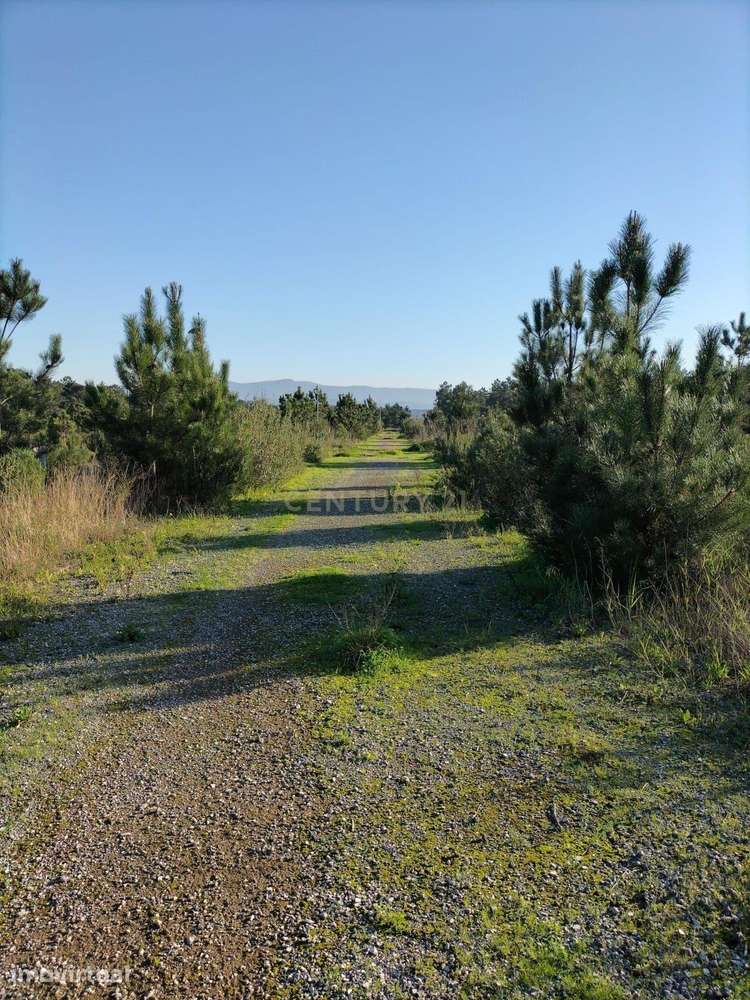 Lote de terreno para construção de moradia em banda - Grande imagem: 2/17