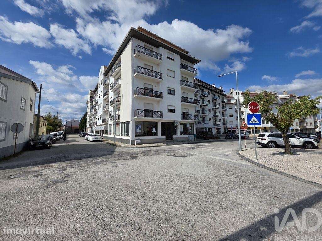 Apartamento em Carregal do Sal - Grande imagem: 2/18