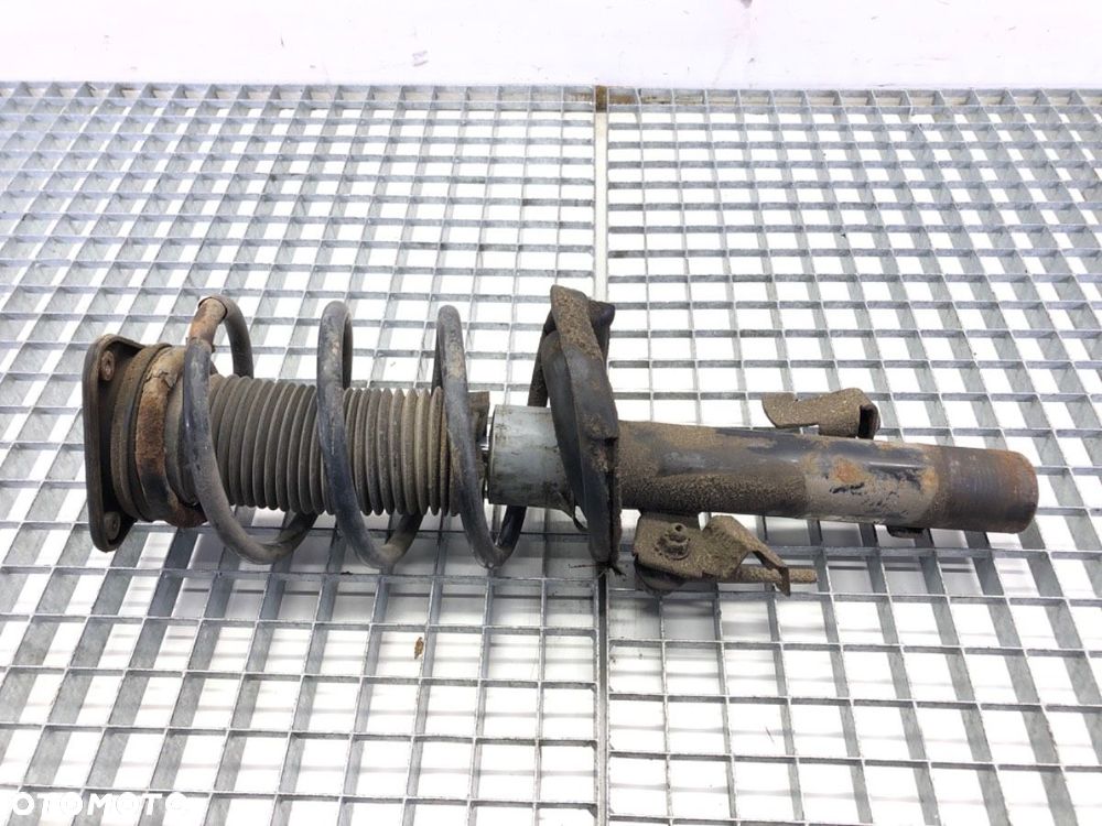 AMORTYZATOR PRAWY PRZÓD - 86.00 PLN - FORD FOCUS II (DA_, HCP, DP) 2004 - 2013 1.6 74 kW [100 KM] - 1