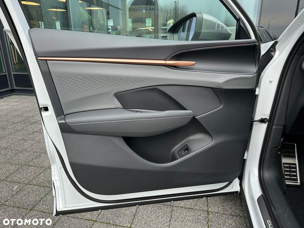 Cupra Terramar 2.0 TSI 4Drive DSG - 10