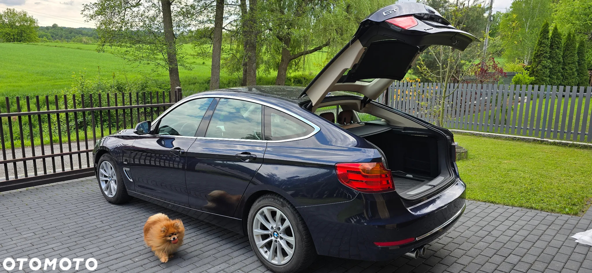 BMW 3GT - 16