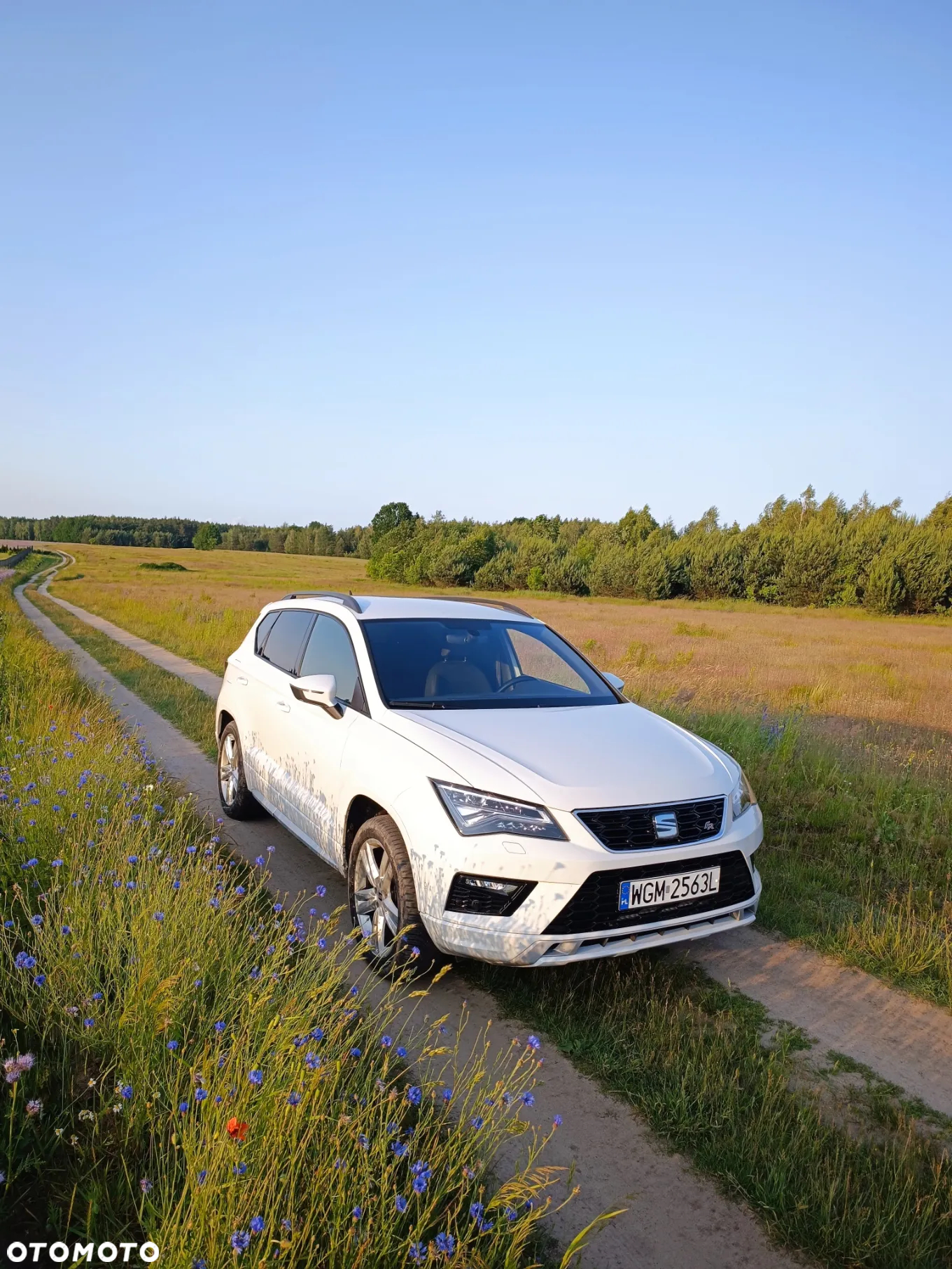 Seat Ateca 2.0 TDI 4Drive DSG FR - 8